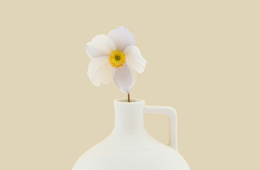 Recipe: Probiotic Shake For Healthy Digestion