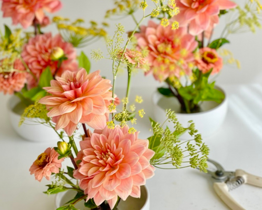 Astrology in Flowers: Cancer