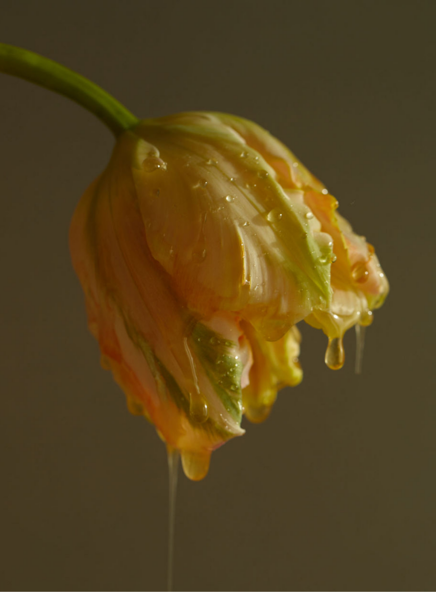 Mastering Foam-Free Floral Installations Course Bundle