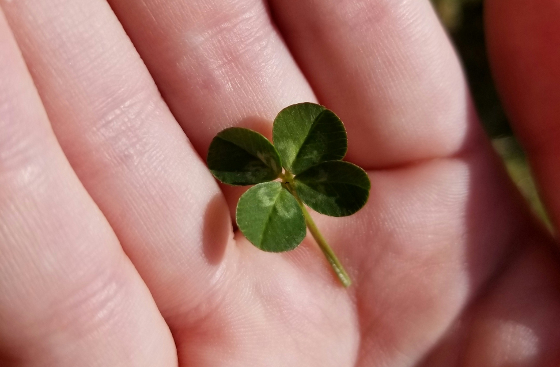 What I'm Reading: Be Ready When The Luck Happens