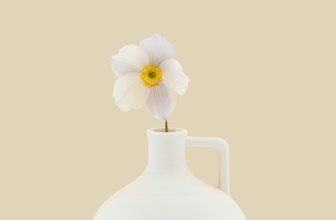 Recipe: Probiotic Shake For Healthy Digestion