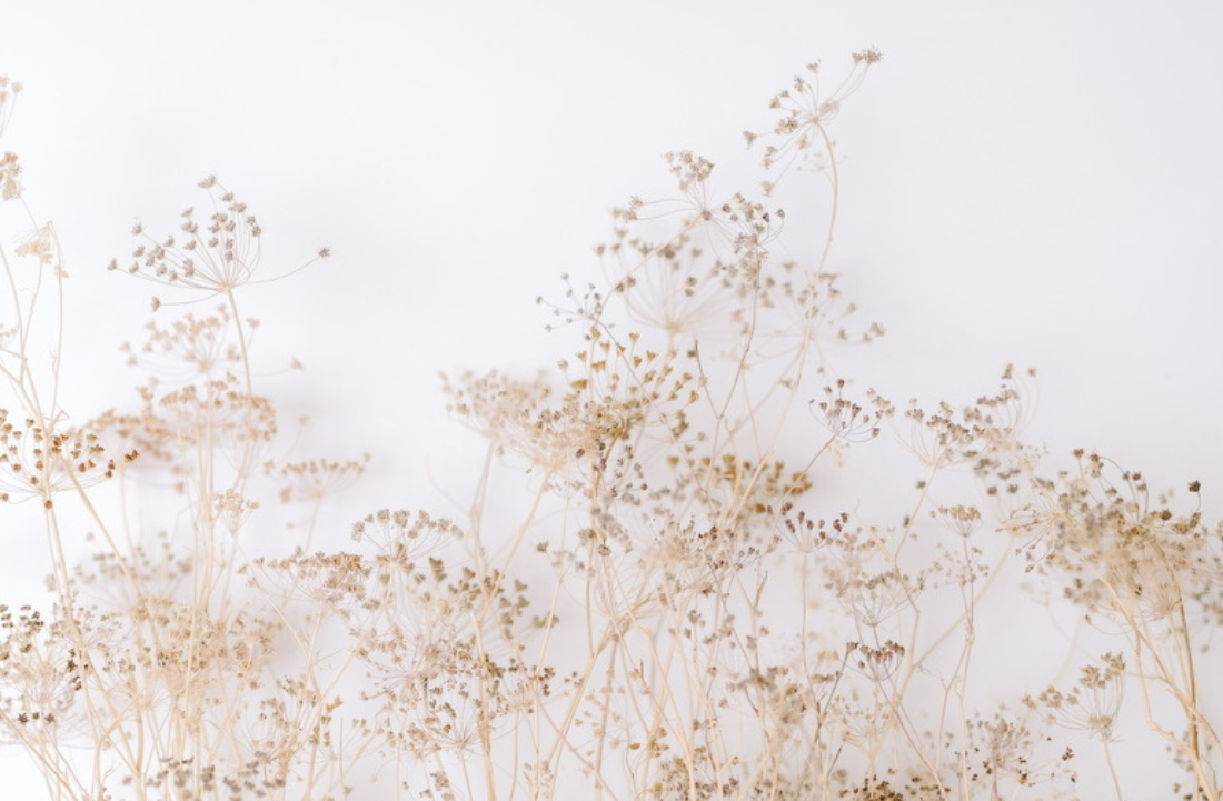 Fall & Early Winter Wellness: Tips for Balance & Wellbeing During Vata Season