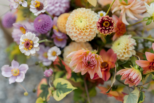 Get Smart with Money: Increase Profits and Build Abundance