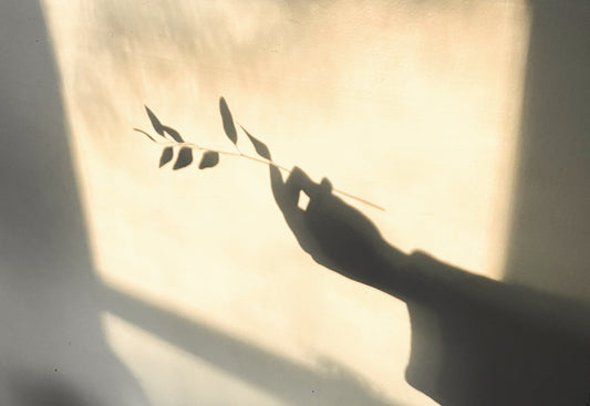 Seasonal Wellness: Spring Wellbeing Tips for Balance During Kapha Season